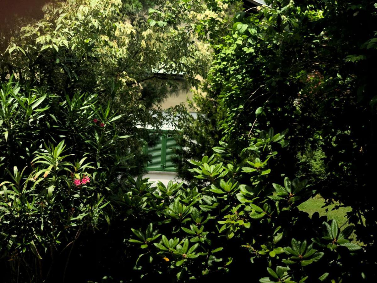 ゴルデヴィオCasa Silviaアパートメント エクステリア 写真